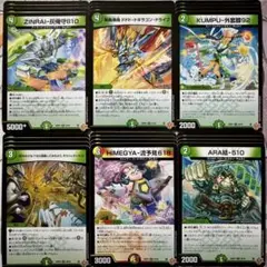 デュエマ R 王道W 第4弾 自然 テクノサムライ ノーマル 24枚セット