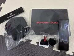 三代目JSB ECHOES of DUALITY MATE盤DVD 登坂広臣