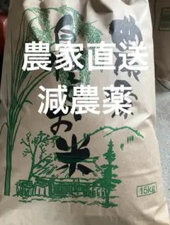 宮崎県産 ヒノヒカリ 令和7年収穫分 20キロ - メルカリ