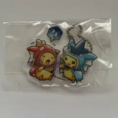 2026年最新】コイキングごっこ&ギャラドスごっこピカチュウ メタル