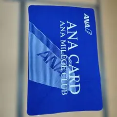 2026年最新】全日空ブランケットの人気アイテム - メルカリ