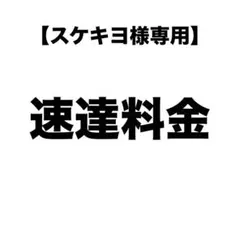 【スケキヨ様専用】速達料金