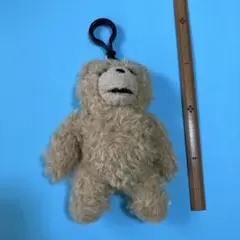 ted ぬいぐるみ マスコット キーホルダー