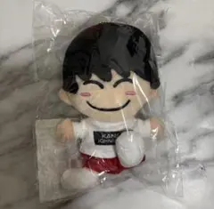 リトカン ちびぬい lilかんさい 5人セット ちびぬい ぬいぐるみ｜Yahoo!フリマ（旧