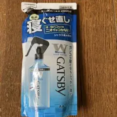 GATSBY 寝ぐせ直しウォーターN つめかえ用 250mlのサムネイル