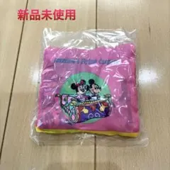 【新品未使用】ディズニーランド限定 エコバッグ_ジャスミンのフライングカーペット