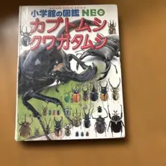 Item thumbnail for item 6357eab7-0b7a-433f-8cb5-213ca395d34f