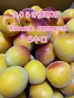 今季ラスト‼️《追熟梅（梅干し用）》秀品A級4L 5kg - メルカリ