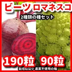 kao様 リクエスト 2点 まとめ商品