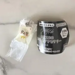 SKZOO めじるしアクセサリー　カプセルトイ