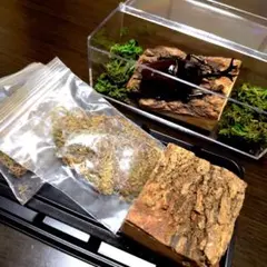 마루칸 곤충 표본 세트, 나무 껍질 1개, 이끼 2봉지