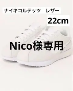 Item thumbnail for item e769d8bb-89c5-4566-9779-68639a91b81e