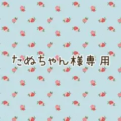 たぬちゃん様専用 8/13まで