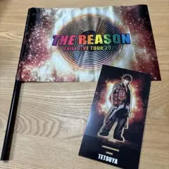 EXILE THE REASON フラッグ＆アクリルスタンド TETSUYA