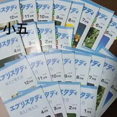 Z会 エブリスタディ 小学6年生 1年分（2025年4月号〜2026年2月号