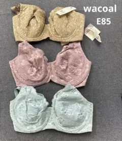 i16◯ 訳あり 新品 wacoal E85 3点 Eカップブラ