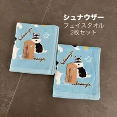 Item thumbnail for item 07abcd70-67ef-4330-968d-a60d28d485df