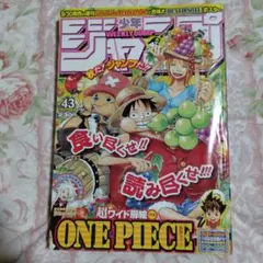週刊少年ジャンプ2005年43号巻頭カラーワンピース