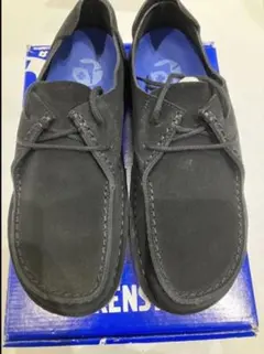 Item thumbnail for item 4d111934-1f24-4816-8b37-89f462a3d44f