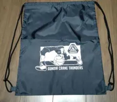 【新品未使用】群馬クレインサンダーズ FC特典 ジムサック