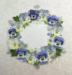 【3cm以内】押し花素材　ボタニカルブルーセット