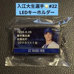 ランダムトイ 入江大生 ビジョンデザイン LEDライトキーホルダー