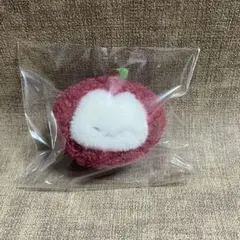 SEVENTEEN ウジ マスター ぬいぐるみ マスタ １７ｃｍ SEVENTEEN ウジ マスター ぬいぐるみ マスタ 17cm