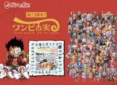 ☆様専用 ワンピの実 54種