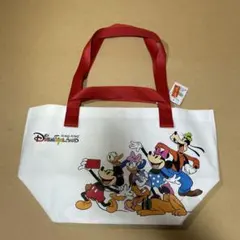 香港ディズニーランド ショッパー エコバッグ Sサイズ