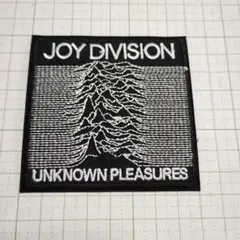 NO.394　アイロンワッペン　ワッペン　送料無料　ジョイディヴィジョン