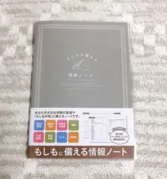 Item thumbnail for item 8d05a1c4-3749-4d7c-b9a0-a9ded0b16a76