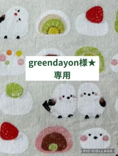 greendayon様★専用