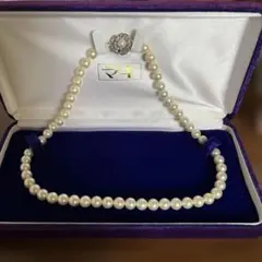 Item thumbnail for item 441b3533-1109-427d-ac21-77000769d49f