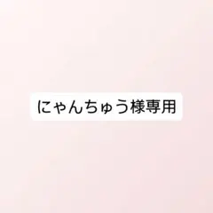 にゃんちゅう様専用