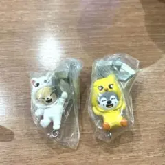 Item thumbnail for item 00291f24-73a6-4e6f-b96d-d6089c4ab9bc