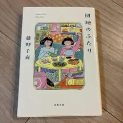 団地のふたり 藤野千夜