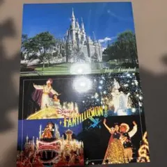 ディズニーファンティリュージョン! ポストカードセット バラ売り不可