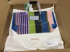 マルニ ストライプバッグ 完売　マルチグリーン ミニ　MARNIのサムネイル