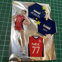 デイ選手　アクリルスタンド　第3弾　NECレッドロケッツ川崎