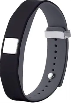 Item thumbnail for item fcd27d9b-4047-4f4a-a555-a4d35cce95ad