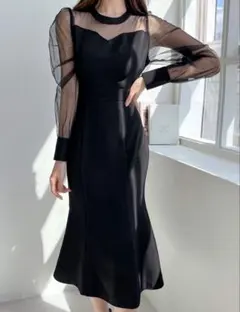 【DAZY】SHEIN ドレス シアーのサムネイル