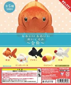 2026年最新】らんちゅう ぬいぐるみの人気アイテム - メルカリ