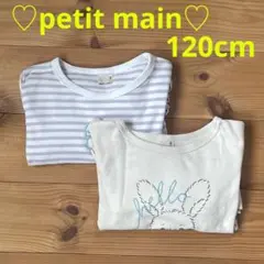 プティマイン プティプラ ロンT 120㎝ 2枚セット