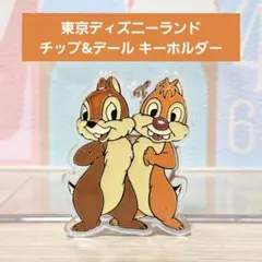 東京ディズニーランド チップ&デール キーホルダー