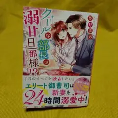 クールな部長は溺甘旦那様!?