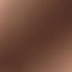 専用ページ