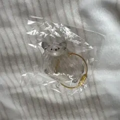 うちの子けだまだま チワワ