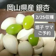 2026年 岡山県産 銀杏 ぎんなん１kg サイズ無選別のサムネイル
