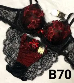 B70 ダスティブルームエンブロイダリーブラジャー&バック透けフルバックショーツ