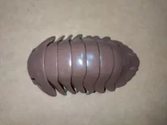 Item thumbnail for item 34fedc9f-50b9-4a78-bde0-88701ada1e39